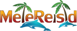 MeieReisid-logo-color-smn